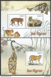 2017 Tigers Wild Cats Animals Fauna 1+1 ** Ja251