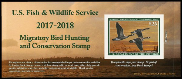 United States #RW84A Mint nh extremely fine   Cat$40 2017, $25 Canada Geese, ...