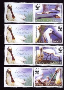 2006 Romania 6134-6137+Tab WWF / Birds