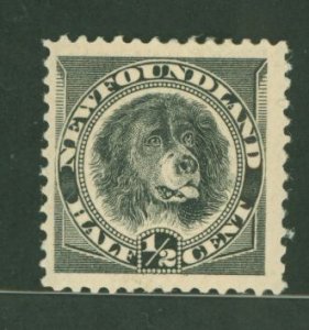 Newfoundland #58 Unused Single (Dog)