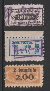 Poland Cinderella revenue Stamp 6-10-22 smaller size Worker dues? or Charity- p3