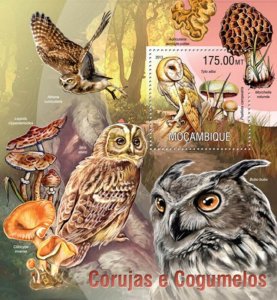 Mozambique 2013 Owls and Mushrooms  Stamp Souvenir Sheet 13A-1283