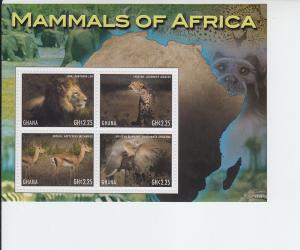 2013 Ghana Mammals of Africa MS4 (Scott NA) MNH