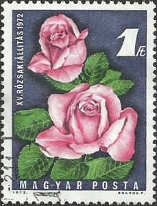 Hungary Unidentified Box Item