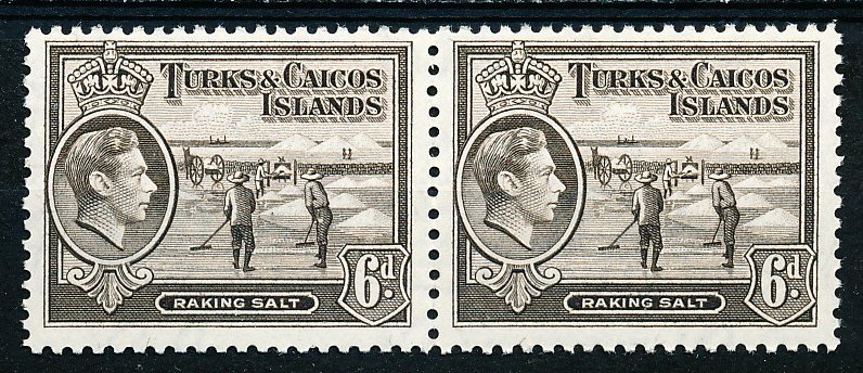 Turks & Caicos Islands #85A Horiz Pair MNH