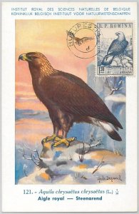 52588  - ROMANIA -  POSTAL HISTORY: MAXIMUM CARD -  ANIMALS  Birds EAGLE