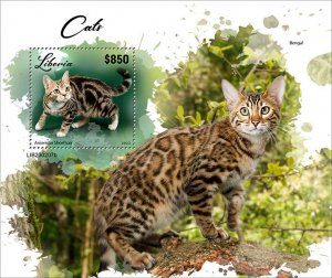 LIBERIA- 2023 - Cats - Perf Souv Sheet - Mint Never Hinged