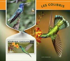 Togo - 2019 Hummingbirds - Stamp Souvenir Sheet - TG190112b