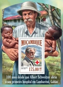 Mozambique 2013 Schweitzer and Red Cross Stamp Souvenir Sheet 13A-1369