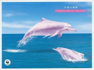 Postal stationery HongKong Chinese White Dolphin - WWF