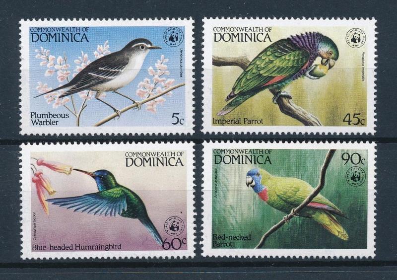 [53570] Dominica 1984 Birds Vögel Oiseaux Ucelli WWF Parrots Hummingbird MNH