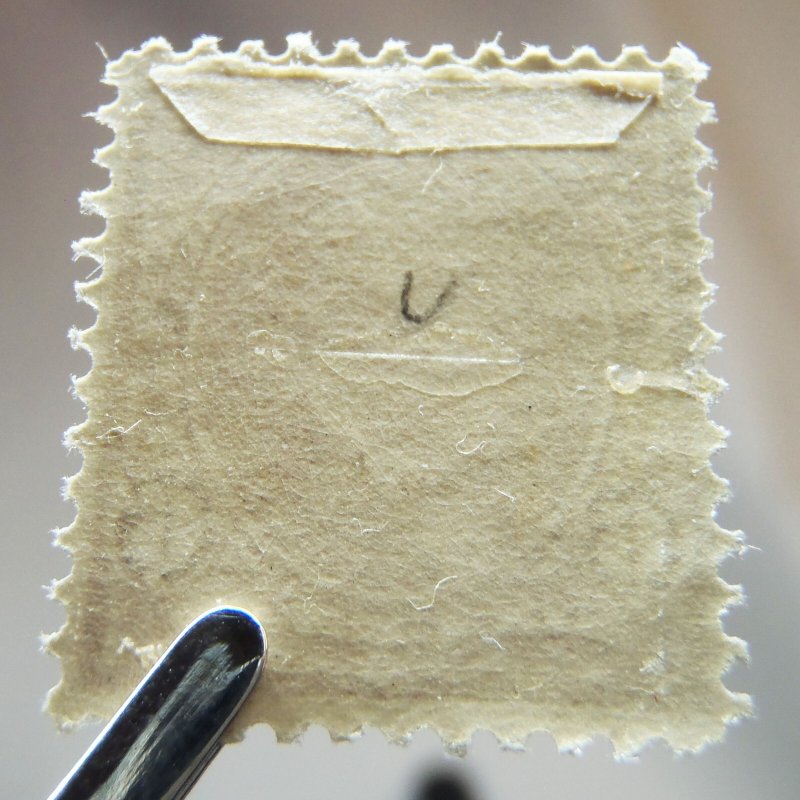 US 1895 # 256 dull brown 6¢ Garfield Mint MH OG Fresh Stamp CV$160