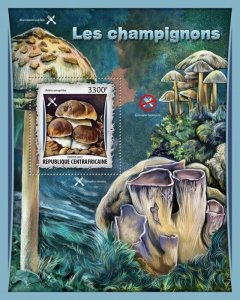 2017 Centrafrique - Mushrooms. Y&T :  1079  |  Michel Code: 6744 / Bl.1569