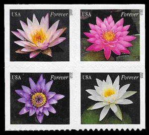 PCBstamps  US #4964/4967a Bk Block $1.96(4x{49c})Water Lilies, MNH, (9)