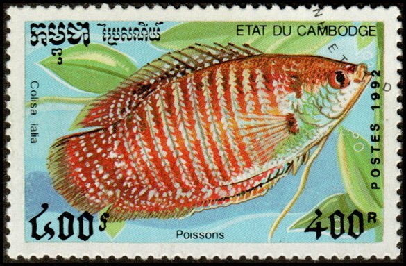 Cambodia 1200 - Cto - 400r Dwarf Gourami (1992)