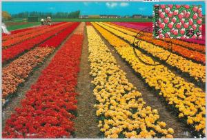 63611  -  NETHERLANDS - POSTAL HISTORY: MAXIMUM CARD 1975 -  FLOWERS