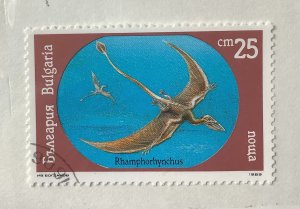 Bulgaria 1990 Scott 3543 used -  25s, Dinosaurs,  Rhamphorhynchus