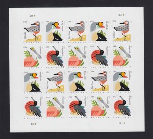 Scott #4991-4994 2015 Costal Birds - Post Card Rate Sheet of 20, Mint NH