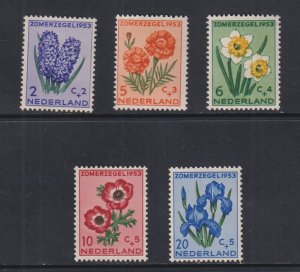 Netherlands  #B249-B253 MNH 1953 flowers