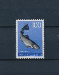 [47586] Yugoslavia 1954 Marine life Fish from set MNH