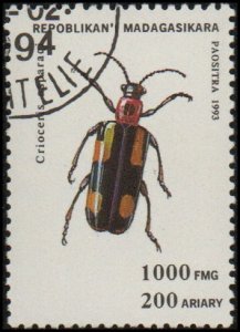 Malagasy Republic 1221 - Cto- 1000fr Common Asparagus Beetle (1994) (cv $0.80)