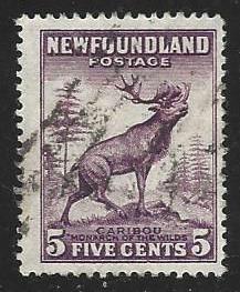 Newfoundland #190 Used Antlers Even Die I (U2)