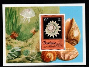 DOMINICA SGMS561 1976 SHELLS MNH