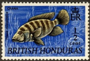 British Honduras 234 - Mint-NH - 1/2c Crana (Fish) (1969)
