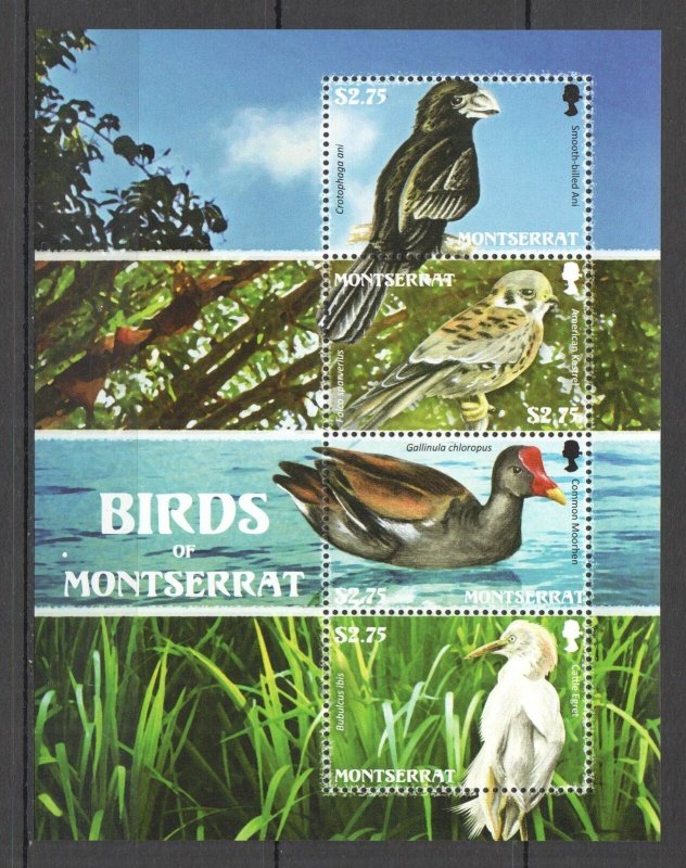 L1536 Montserrat Birds Of Montserrat Fauna 1Kb Mnh