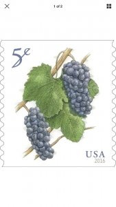 Scott #5038 Grapes  (Coil Single - APU) 2016 - Mint NH Single