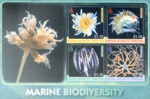 2010 Marine Biodiversity.