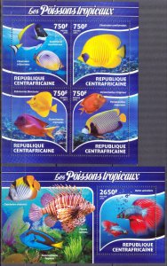 Central African Republic 2015 Marine Life Fishes (1) Sheet + S/S MNH