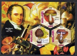 MALAWI - 2012 - Fungi, E, Magnus - Perf 3v Sheet - MNH - Private Issue