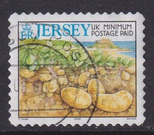 Jersey (2003) #981b used