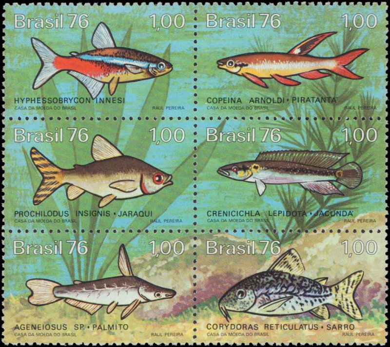 Brazil #1465a, Complete Set, Blk of 6, 1976, Fish, Never Hinged