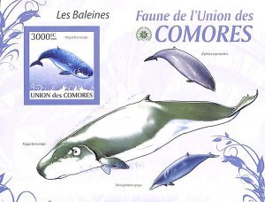 Comoros 2009, Whales s/s, imperforated, MNH