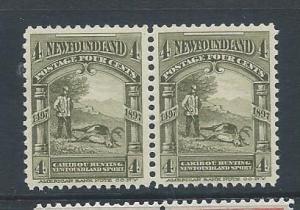 Newfoundland 64 pair, 2018 CV $23.00