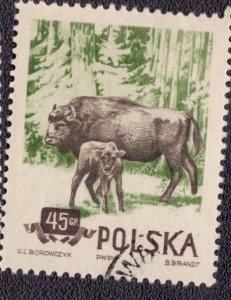 Poland 660 1955 Used