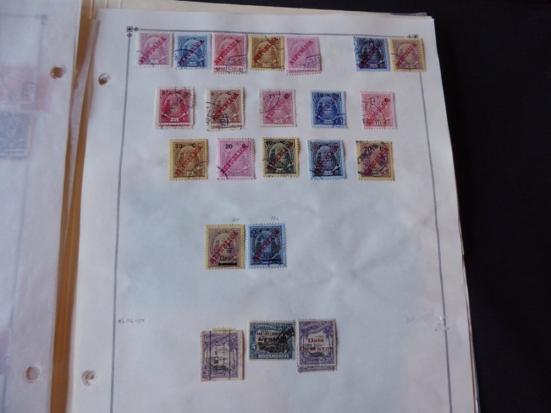 Mozambique Company Pre 1940 Extensive Stamp Collection