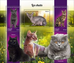 Togo - 2023 Cats Breeds, Korat, Sphynx, Bengal - 3 Stamp Sheet - TG230104a