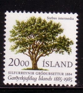 Iceland Sc 608 1985 Horticulture Tree stamp mint NH