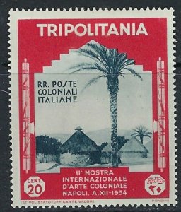 Tripolitania 75 MH 1934 issue (ak3209)