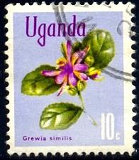 Flower, Grewia Similis, Uganda stamp SC#116 used