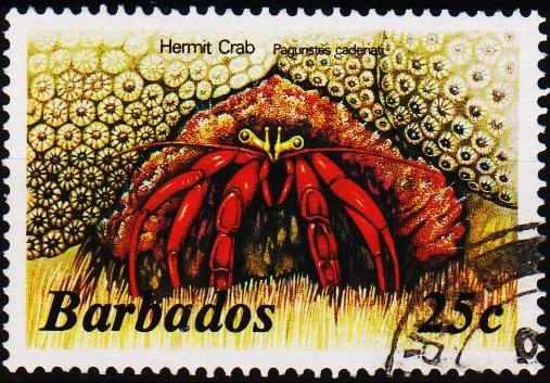 Barbados. 1985 25c S.G.799B Fine Used