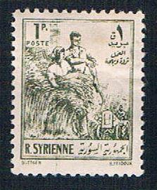 Syria 378 Used Farm Workers (BP09210)