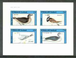 Eynhallow 1982 Birds #20 (Gull, Turnstone, Kittiwake &...