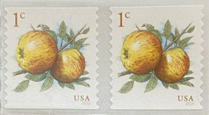 US: set of 2 x  1C Apple (2016)