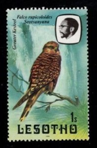 Lesotho - #321 Greater Kestral - MNH