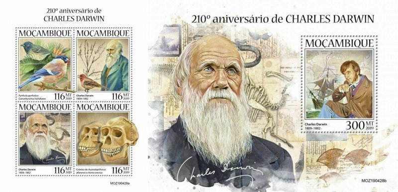 Z08 IMPERF MOZ190428ab MOZAMBIQUE 2019 Charles Darwin MNH ** Postfrisch