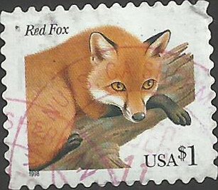 # 3036a USED RED FOX